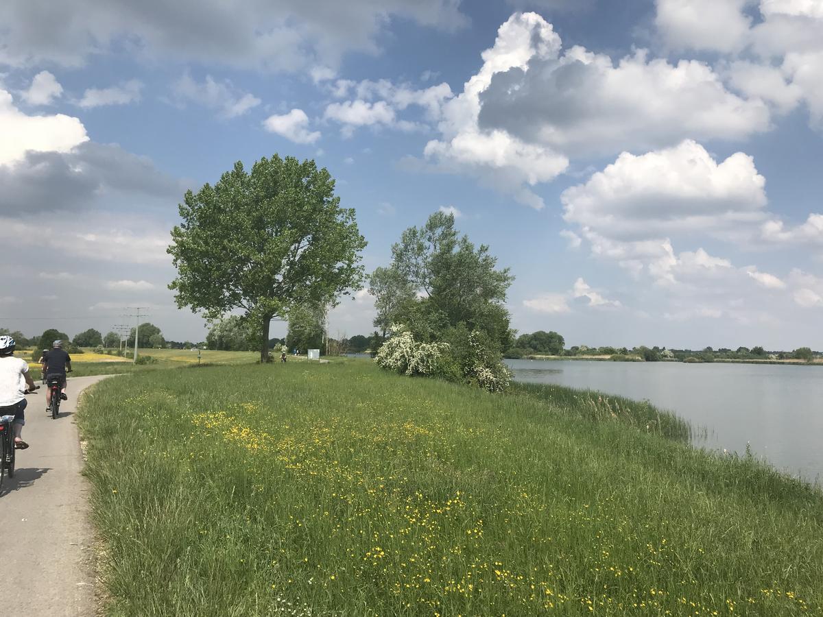 Willa Ferienbauernhof Schuler Gunzenhausen Zewnętrze zdjęcie